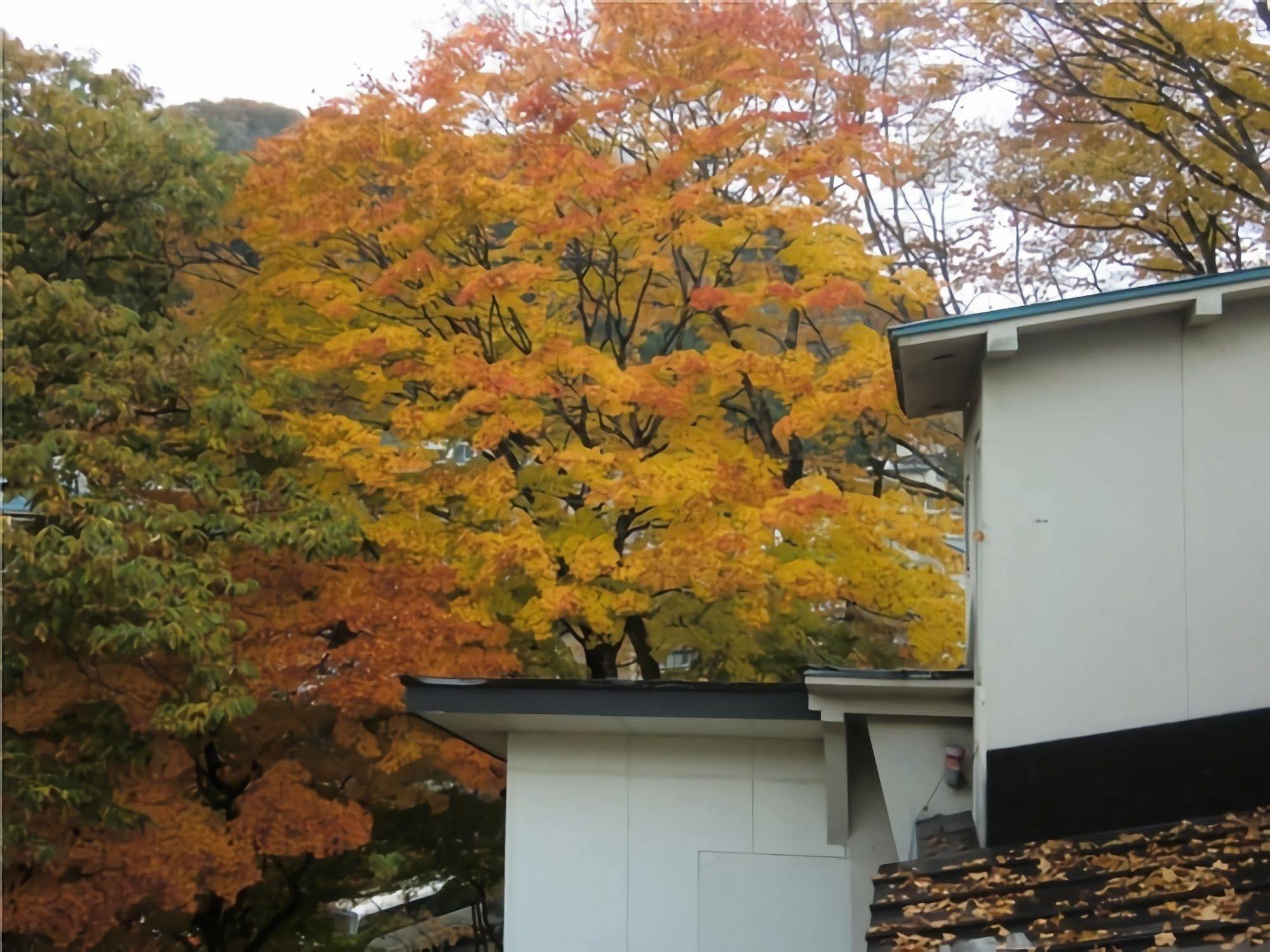 Onsen Minshuku Sakaeya Hotel Shizukuishi Bagian luar foto